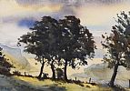 TREES ON THE ANTRIM COAST NEAR LARNE by Robert Beattie at Ross's Online Art Auctions