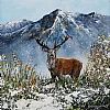 RED STAG by Andy Saunders at Ross's Online Art Auctions