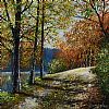 AUTUMN TREES by Andy Saunders at Ross's Online Art Auctions