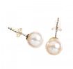 14CT WHITE GOLD CULTURED PEARL EARRINGS at Ross's Online Art Auctions