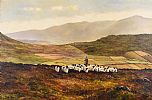 SHEEP IN THE MOURNES by William Yeaman at Ross's Online Art Auctions