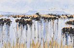 REEDS BY THE LOUGH by Carol Crozier at Ross's Online Art Auctions