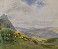 YELLOW GORSE ON THE SIDE OF A HILL by R. Graham at Ross's Online Art Auctions