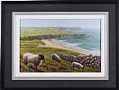 SHEEP AT WHITEPARK BAY by Keith Glasgow at Ross's Online Art Auctions