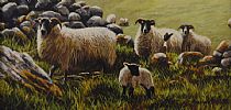 SHEEP & LAMBS by Keith Glasgow at Ross's Online Art Auctions