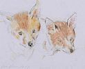 FOX CUBS by Con Campbell at Ross's Online Art Auctions