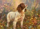 SPRINGER by Donal McNaughton at Ross's Online Art Auctions