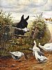DONKEY & GEESE by Ralph Johnson at Ross's Online Art Auctions