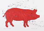 CULLYBACKEY PIG by Ronan Kennedy at Ross's Online Art Auctions