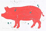 GALWAY PIG by Ronan Kennedy at Ross's Online Art Auctions