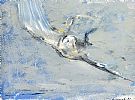 DOVE IN FLIGHT by Con Campbell at Ross's Online Art Auctions