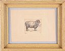 SHROPSHIRE SHEEP by English School at Ross's Online Art Auctions