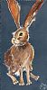 HARVEY HARE by Eileen McKeown at Ross's Online Art Auctions