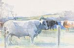 CATTLE GRAZING, COUNTY DOWN by Tom Carr HRHA HRUA at Ross's Online Art Auctions