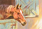 HORSE BY THE STABLE DOOR by Donal McNaughton at Ross's Online Art Auctions