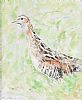CORNCRAKE by Con Campbell at Ross's Online Art Auctions