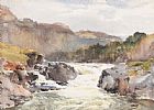 WILD WATER by Wycliffe Egginton RI RCA at Ross's Online Art Auctions