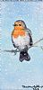 WINTER ROBIN by Josephine Guilfoyle at Ross's Online Art Auctions