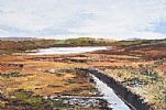 COUNTY MAYO BOGLAND by Margaret Stockman at Ross's Online Art Auctions