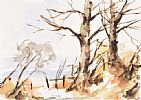 WINTER TREES by William Adair at Ross's Online Art Auctions
