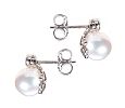 18CT WHITE GOLD PEARL & DIAMOND EARRINGS at Ross's Online Art Auctions