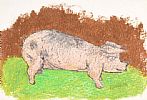 HUGH THE PIG by Rhonda Paisley at Ross's Online Art Auctions