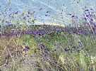 WILD MEADOW BLOSSOMS by Rachel Keenan at Ross's Online Art Auctions