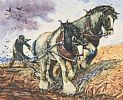PLOUGHING THE FIELD by P.J. Kennedy at Ross's Online Art Auctions