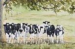NOSEY COWS by Lawrence Chambers at Ross's Online Art Auctions
