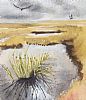 BOG POOL, BUTTER MOUNTAIN by James Manley RUA at Ross's Online Art Auctions