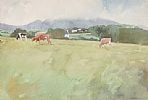 CATTLE GRAZING by William McKibbin at Ross's Online Art Auctions