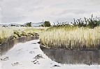 REEDS, STRANGFORD LOUGH II by Arnold Gardner at Ross's Online Art Auctions