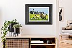 SHEEP AT DUNLUCE CASTLE by Keith Glasgow at Ross's Online Art Auctions
