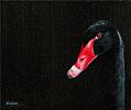 BLACK SWAN by John Fairfield at Ross's Online Art Auctions