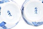 PAIR OF CHINESE BLUE & WHITE NARROW NECK VASES at Ross's Online Art Auctions