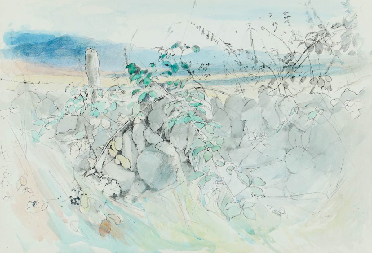 IN THE MOURNES FROM WATERISH COTTAGE, DUNDRUM by Tom Carr HRHA HRUA at Ross's Online Art Auctions