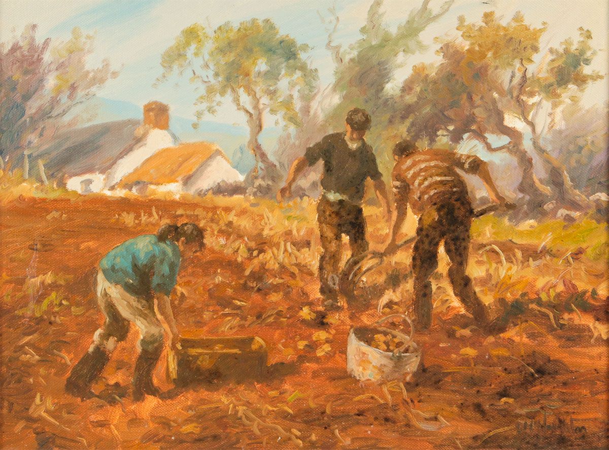 GATHERING SPUDS by Donal McNaughton at Ross's Online Art Auctions