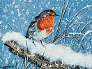 WINTER ROBIN by Andy Saunders at Ross's Online Art Auctions