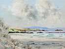 STRANGFORD LOUGH, COUNTY DOWN by S.I. WATSON at Ross's Online Art Auctions
