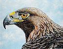 GOLDEN EAGLE by Andy Saunders at Ross's Online Art Auctions