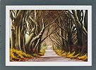 THE DARK HEDGES by Keith Glasgow at Ross's Online Art Auctions
