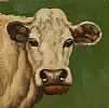 COW ON GREEN by Irish School at Ross's Online Art Auctions