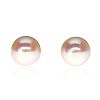 18CT WHITE GOLD AKOYA PEARL EARRINGS at Ross's Online Art Auctions