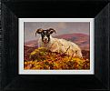 RAM IN THE GLENS by Donal McNaughton at Ross's Online Art Auctions