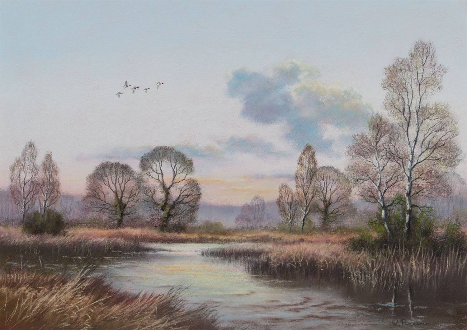 DUCKS IN FLIGHT OVER WETLANDS by Wendy Reeves at Ross's Online Art Auctions