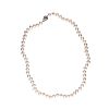 FRESH WATER PEARL NECKLACE at Ross's Online Art Auctions