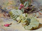 HAZEL NUTS AND BERRIES by Helen C. Coleman at Ross's Online Art Auctions