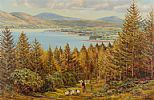 CARLINGFORD LOUGH FROM FIDDLERS GREEN, ROSTREVOR by Vittorio Cirefice at Ross's Online Art Auctions