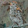 SONG THRUSH by Con Campbell at Ross's Online Art Auctions