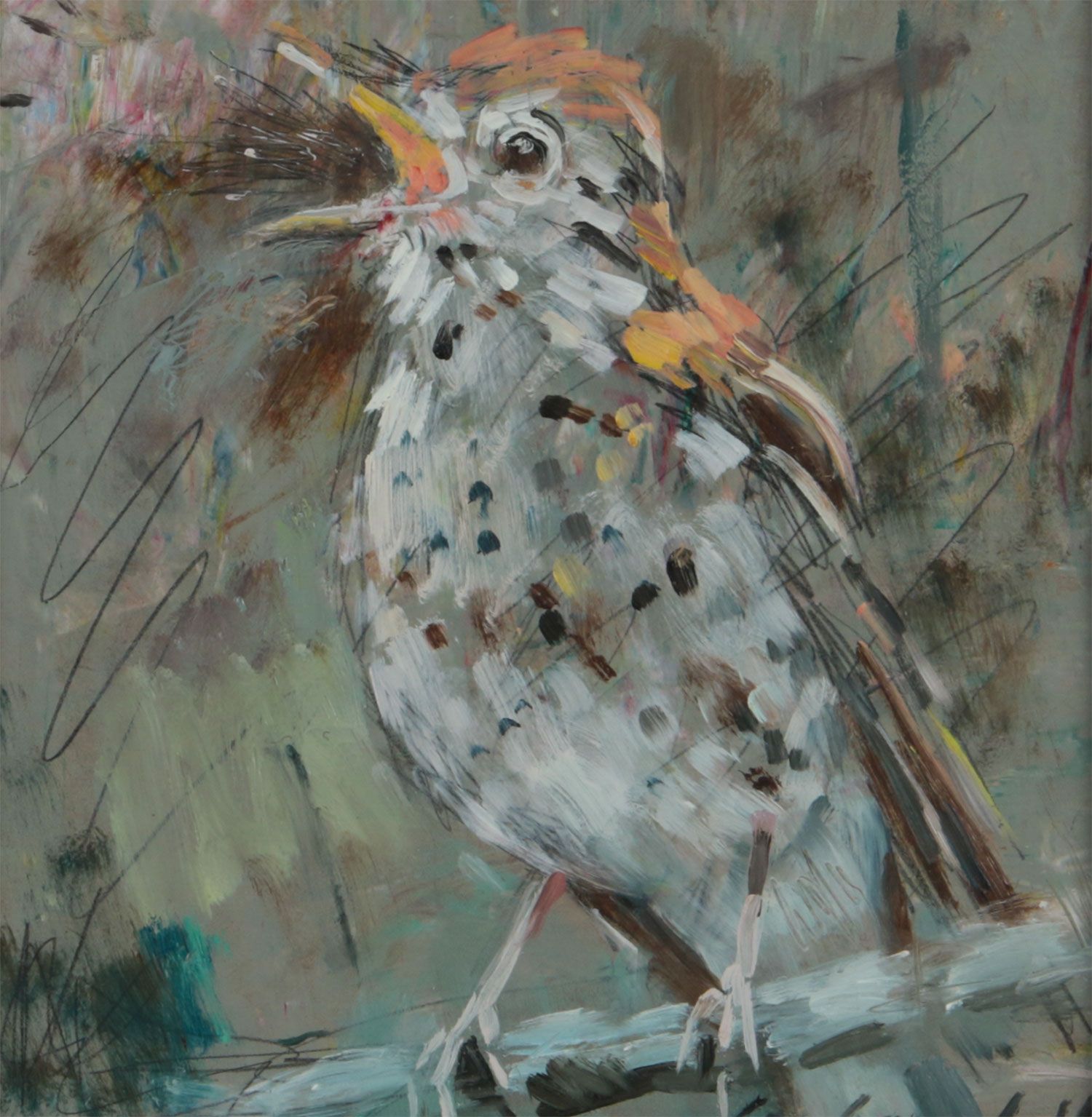 SONG THRUSH by Con Campbell at Ross's Online Art Auctions